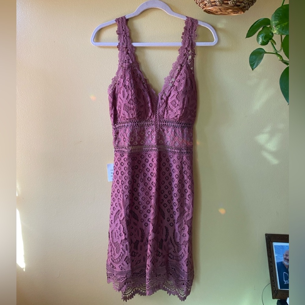 Joyfolie Caspian Dress Lace Mauve Purple sz L NWT